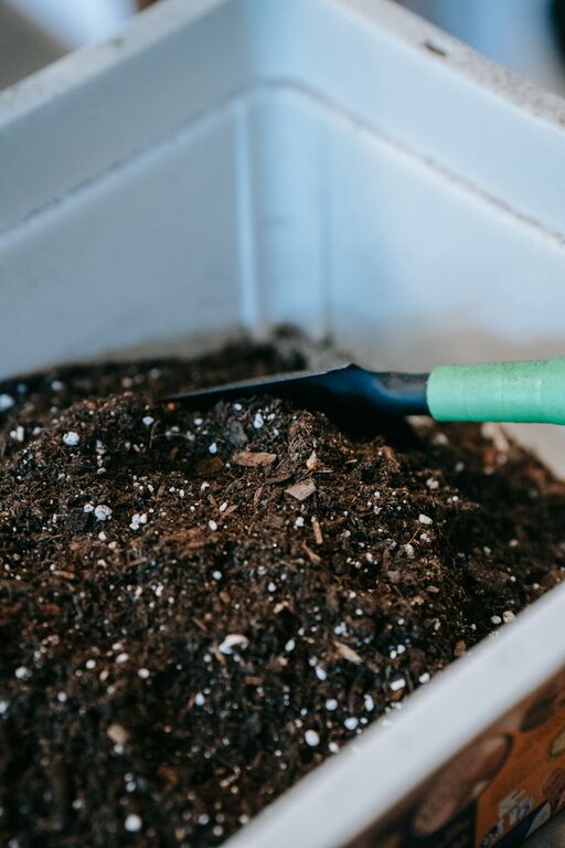 Beginner Tips for Composting at Home: A Simple Guide to Starting